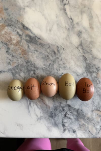 Five fresh eggs lined up on a marble counter, each labeled in marker with a different method to test for easy peel hard boiled eggs: vinegar, salt, steam, boil, and tap boil.