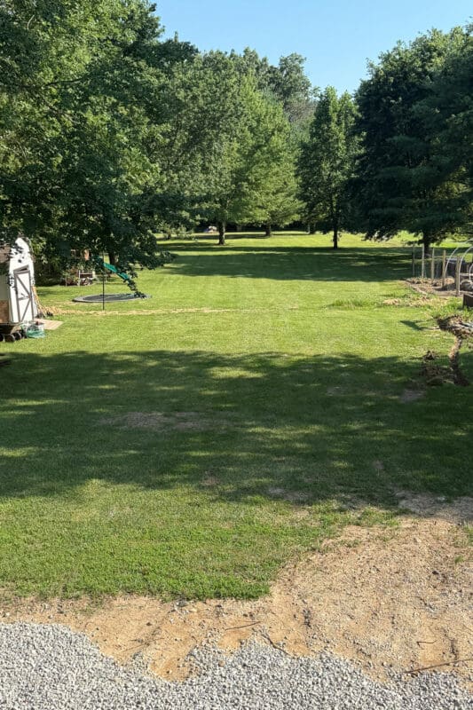 Flat grassy backyard before the sidewalk was poured, with a shed and trampoline on the left and a garden fence on the right