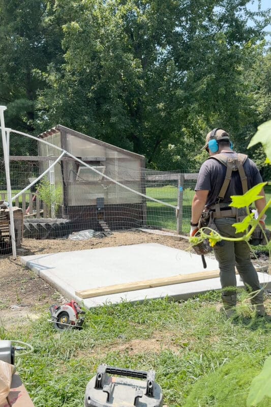 Man in a tool belt and ear protection standing at a freshly poured concrete slab foundation with the old wire run and hens behind it