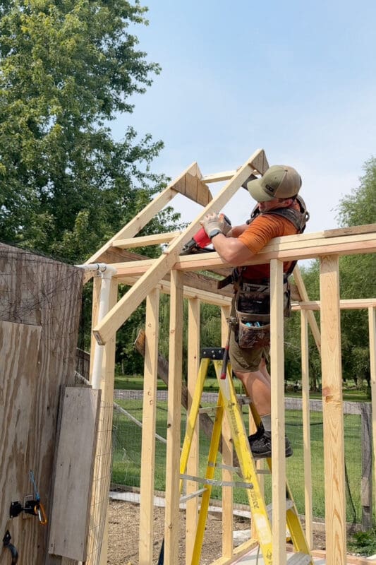 Man on a ladder using a framing nailer to fasten peaked roof trusses to the top plate of an outbuilding frame