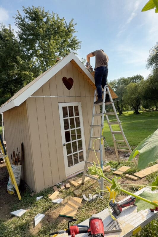 Chicken coop with crisp white trim installed along the front gable and eaves, giving the tan board and batten exterior a cottage look, with a man working at the roof peak