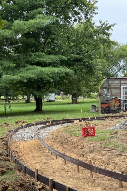Curved wooden forms staked along the route of the concrete path in the backyard, with gravel base laid in the far section and bare dirt in the foreground