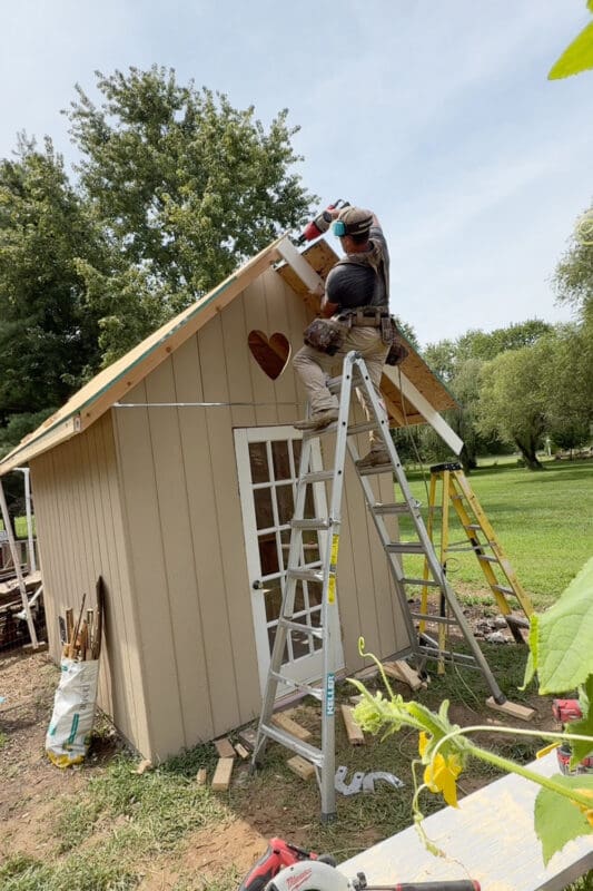 Man on a ladder attaching white fascia trim boards along the gable edge of a chicken coop with the vintage glass paned door now installed below