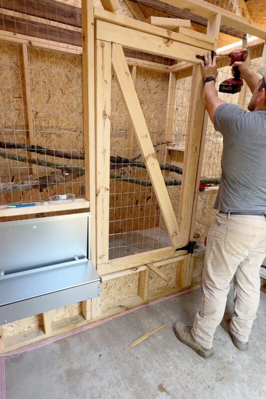 Man using an impact driver to hang a diagonally braced wire gate in a chicken coop dividing wall with branch roosts and a nesting box visible