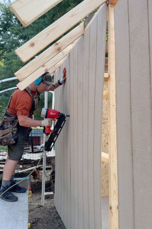 Man using a framing nailer to attach vertical board and batten siding to a chicken coop wall, with hens in the old run visible in the background