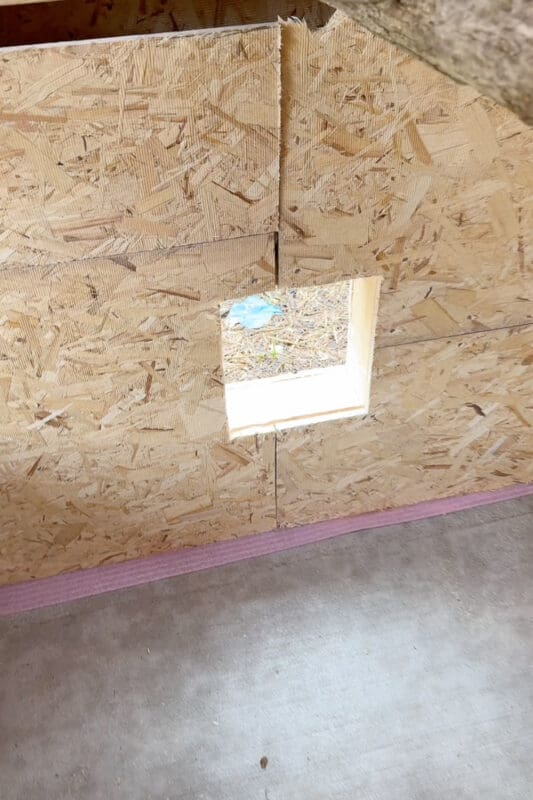Small square chicken door cut through the OSB wall of a chicken coop with the straw covered run visible through the opening
