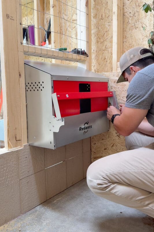 Man securing a roll away nesting box on the storage side of a chicken coop wall where eggs roll forward into a covered collection tray