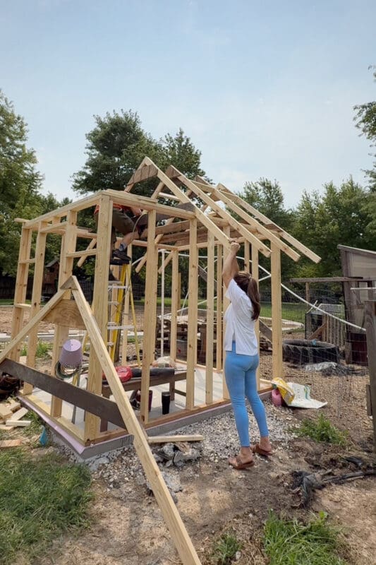 Woman raising a roof truss up to a man on a ladder as they install the peaked roof framing on a DIY chicken coop