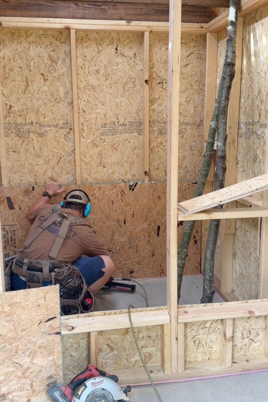 Man kneeling inside a chicken coop attaching OSB sheathing to the lower back wall with tree branch roosting bars already mounted in the corner