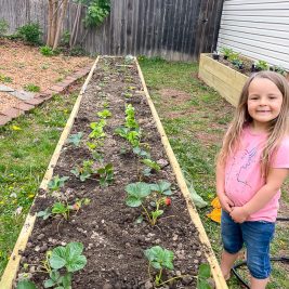 how-to-kid-garden